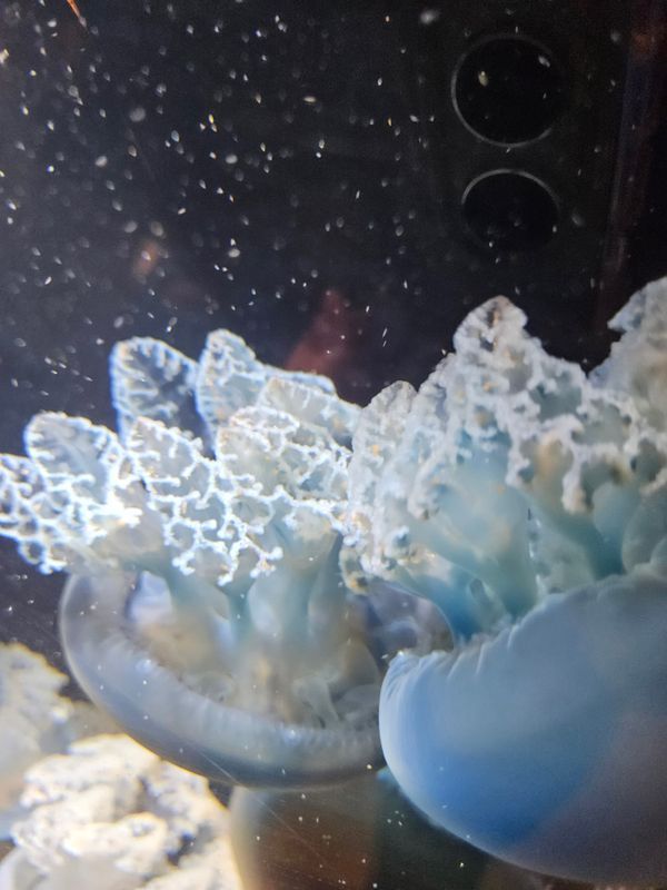 板橋周遊×AR謎解き「チ。ー地球の運動についてー」のナゾ活写真