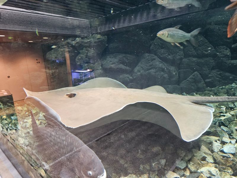 板橋周遊×AR謎解き「チ。ー地球の運動についてー」のナゾ活写真