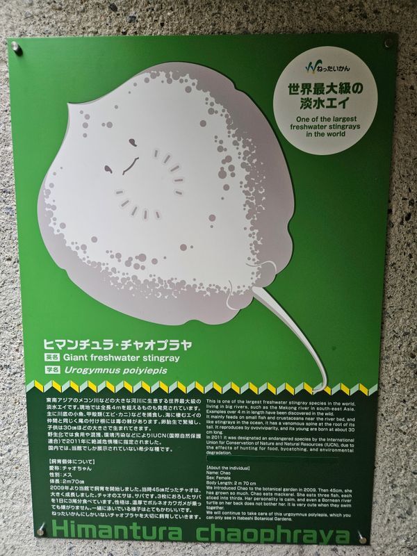 板橋周遊×AR謎解き「チ。ー地球の運動についてー」のナゾ活写真