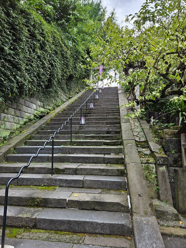 探偵ケイシャとQ坂のサツジン事件のナゾ活写真