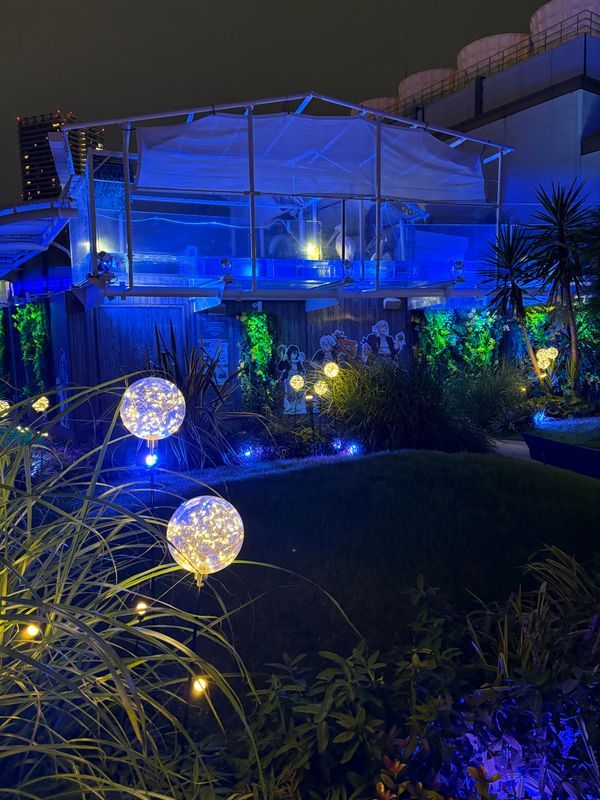 サンシャイン水族館×アクアリウムは踊らない 体験型ホラー水族館 「アクアリウムは目覚めない」のナゾ活写真