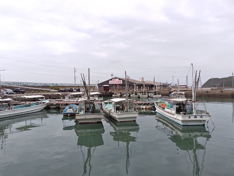 南海旅なぞTRAIN 2025のナゾ活写真