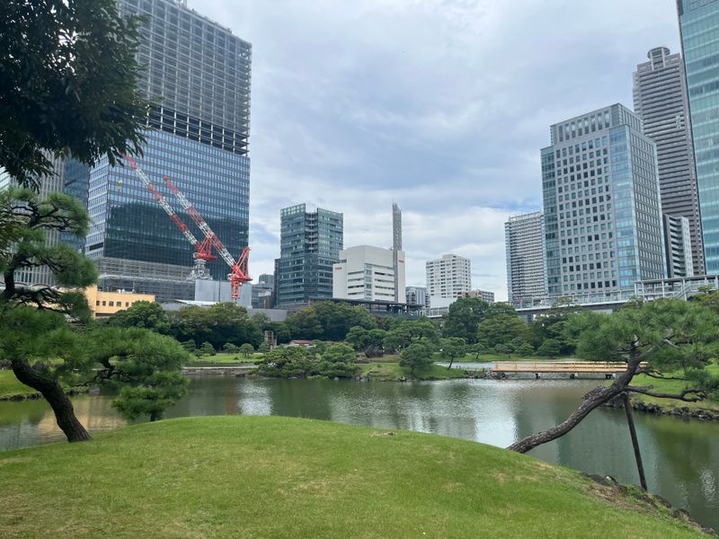 庭園に住む海の精霊と記憶のかけらのナゾ活写真