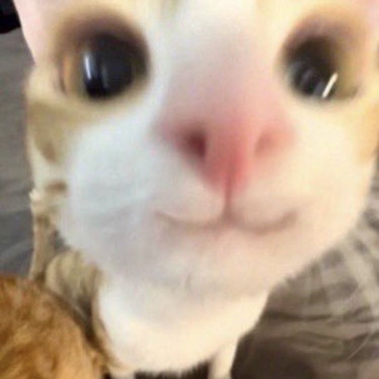 なつのプロフィール画像