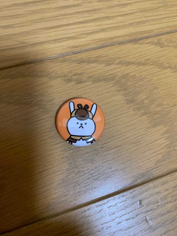 『ある友人からの手紙』#11 探偵事務所を営むウサギより 月刊謎解き郵便のナゾ活写真