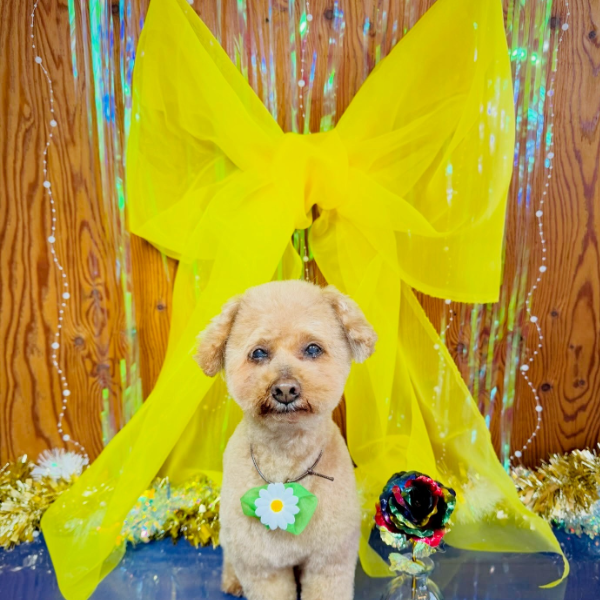 陣のプロフィール画像