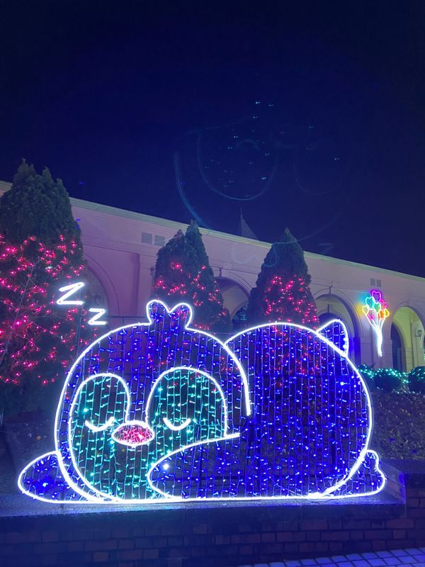 バズのプロフィール画像