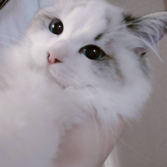 sssのプロフィール画像