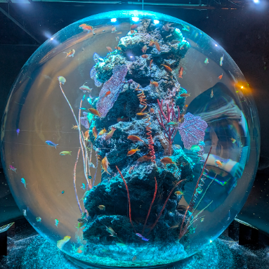 moのプロフィール画像