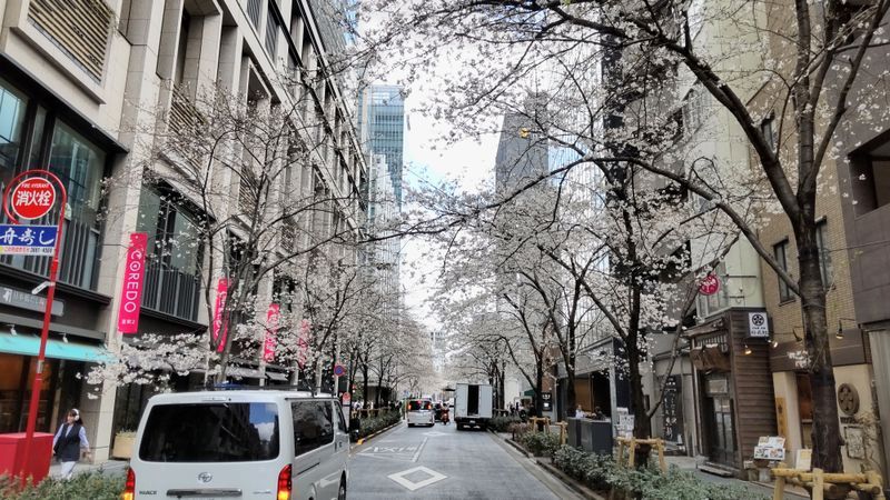 江戸綺譚 （えどきたん）のナゾ活写真