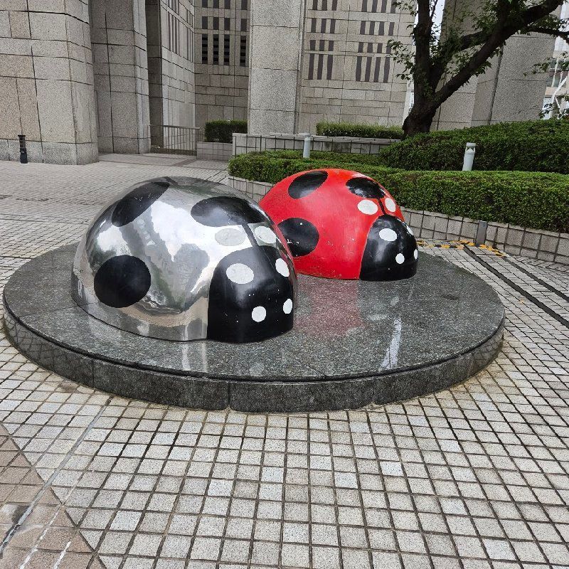 だーぽんのプロフィール画像