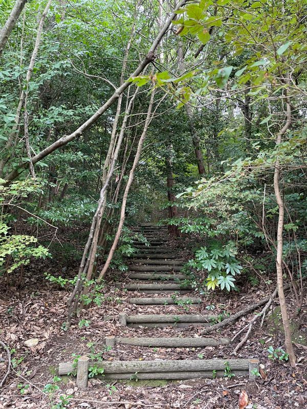 食うか、食われるか― リトルワールドでダンジョン飯　謎解きゲームのナゾ活写真