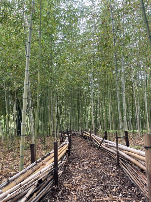 見つけ出せ！古墳に眠る宝と発掘レーダーのナゾ活写真