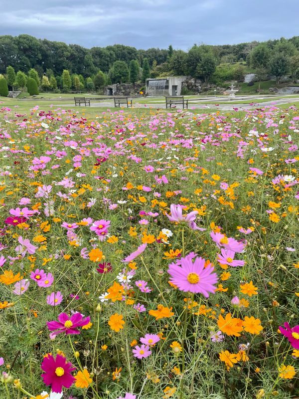 JERA park HEKINAN リアル謎解きゲーム～飛ばせ！ 未来の気球“ゼロエミ号”～のナゾ活写真