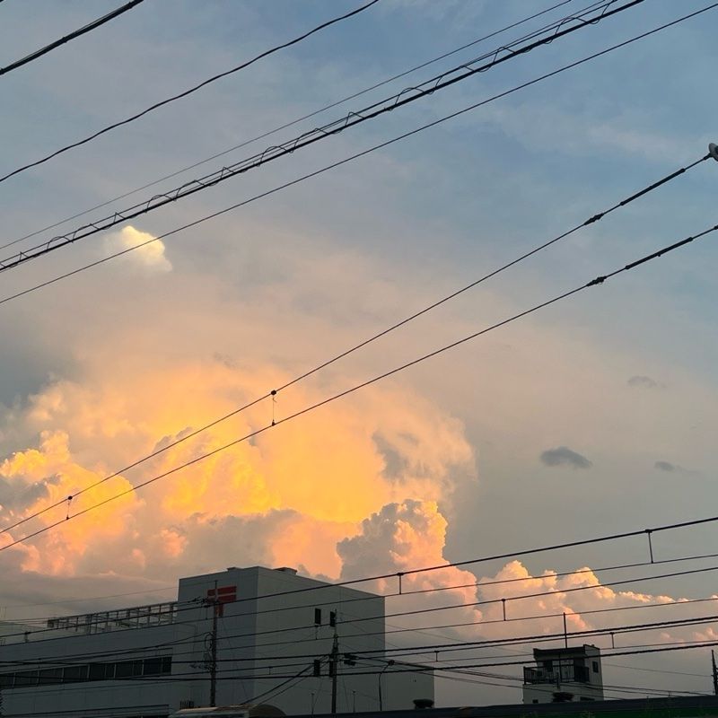梅のプロフィール画像