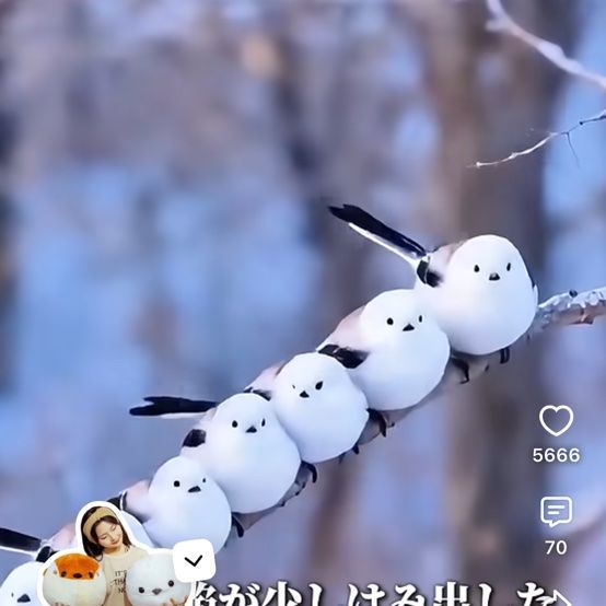 稲魂のプロフィール画像
