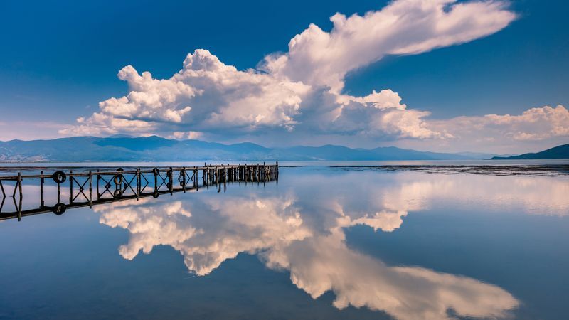 コーヒーうさぎ