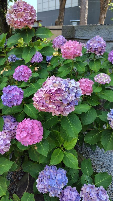 京成電鉄×リアル謎解きゲーム「ナゾ解きした町電車旅」のナゾ活写真