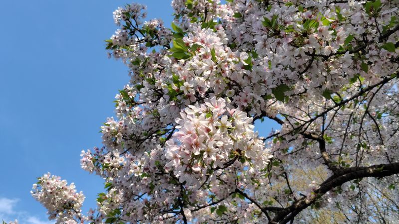 皇居を巡る謎解きの旅 with QuizKnockのナゾ活写真