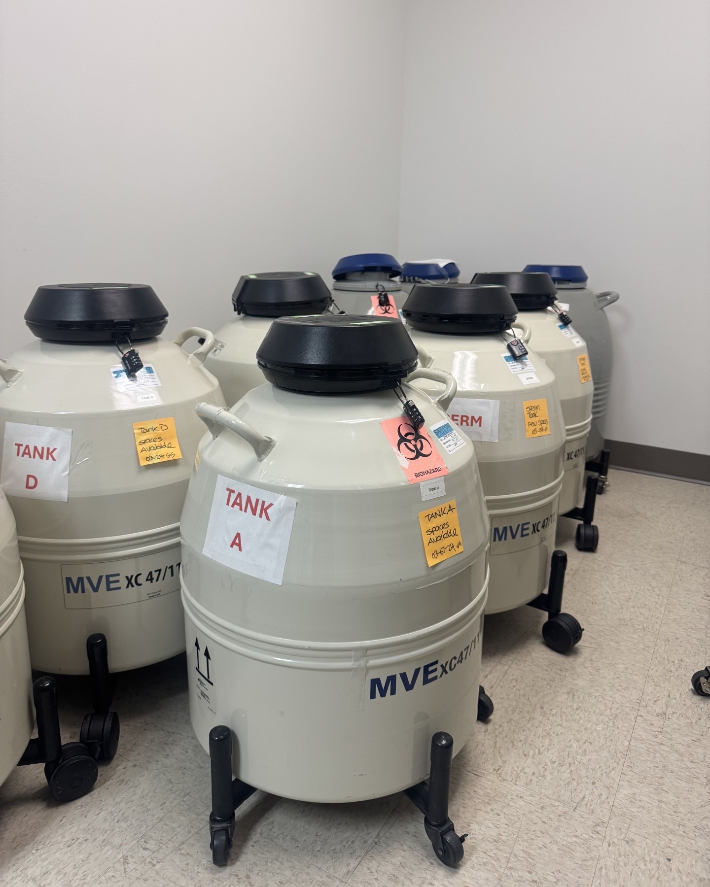 Palm Springs Fertility Clinic Continues To Recover, Reaching Full Operation