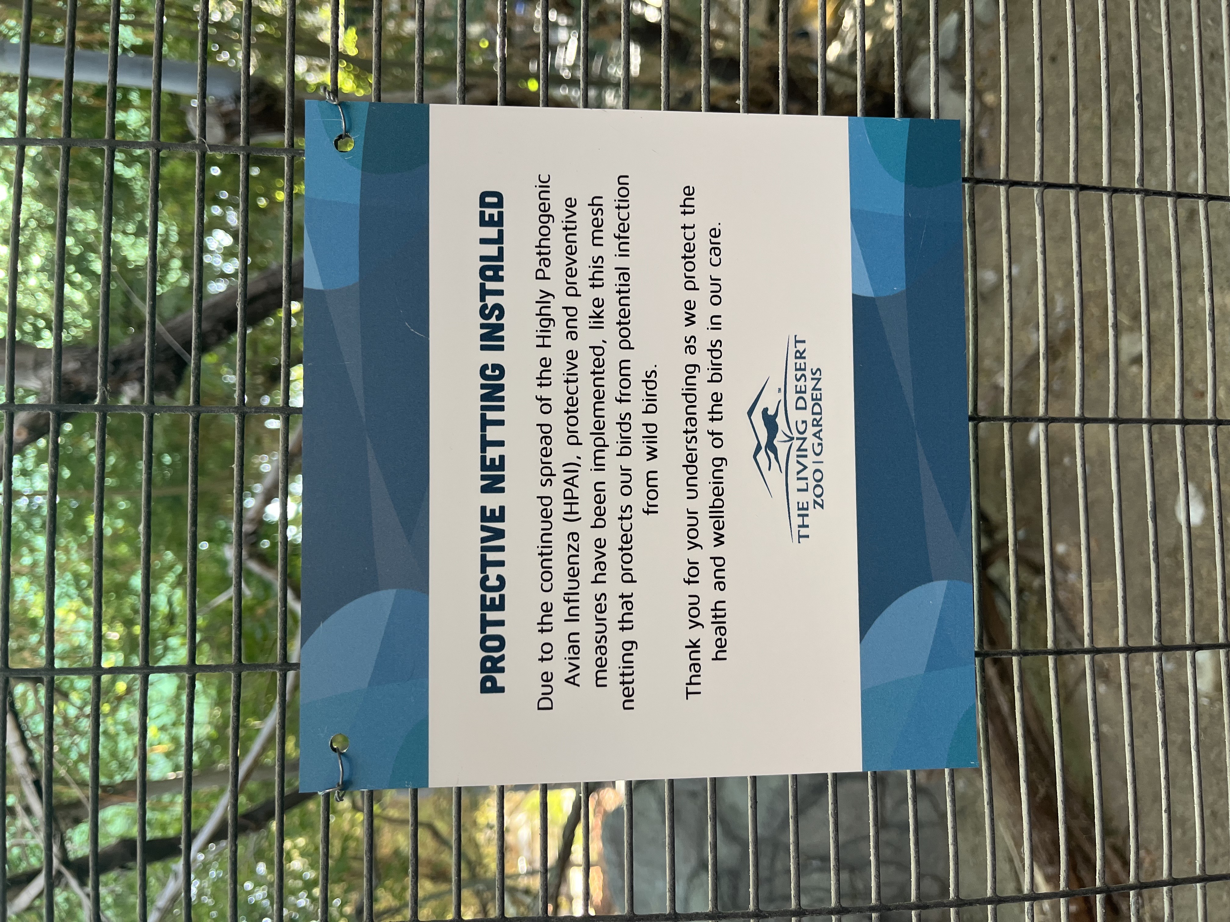 Living Desert takes action to protect birds