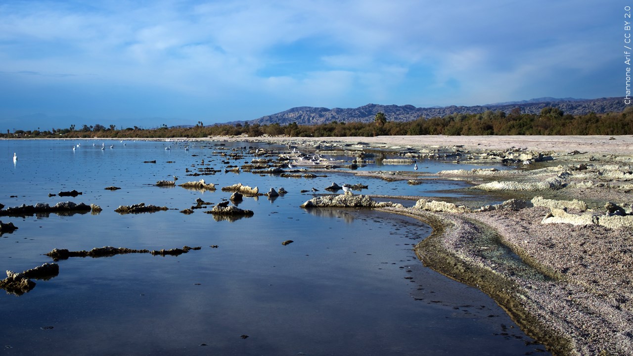 Developer Suspends 3 New Geothermal Plants Near the Salton Sea