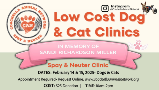 Coachella Animal Network to Host Low-Cost Spay and Neuter Clinic in Indio