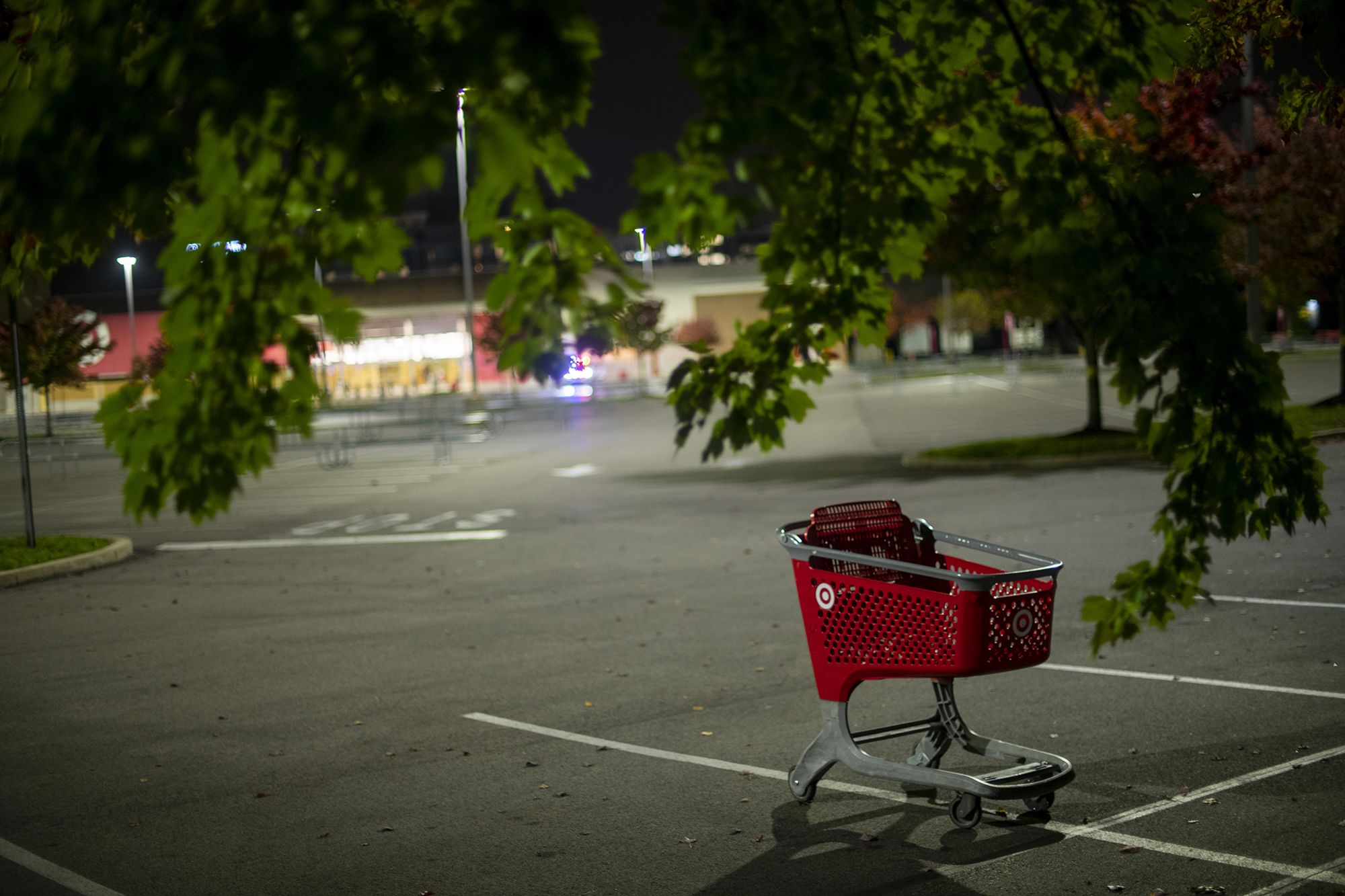 What Happened to America’s Shoplifting Crisis? Data Shows Thefts Declining After Policy Shifts