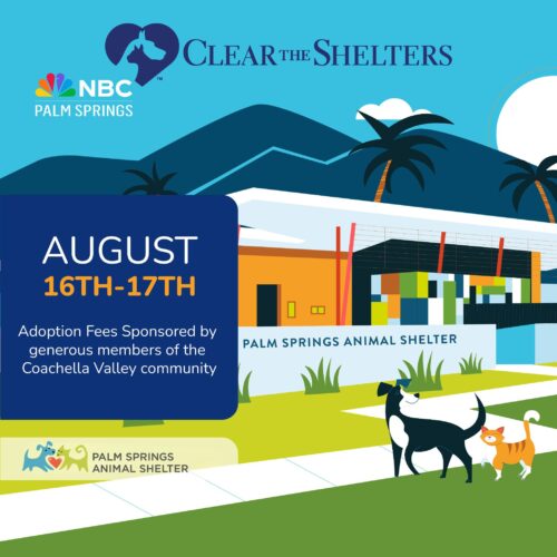 We Team Up With Palm Springs Animal Shelter For Clear the Shelters Adoption Event