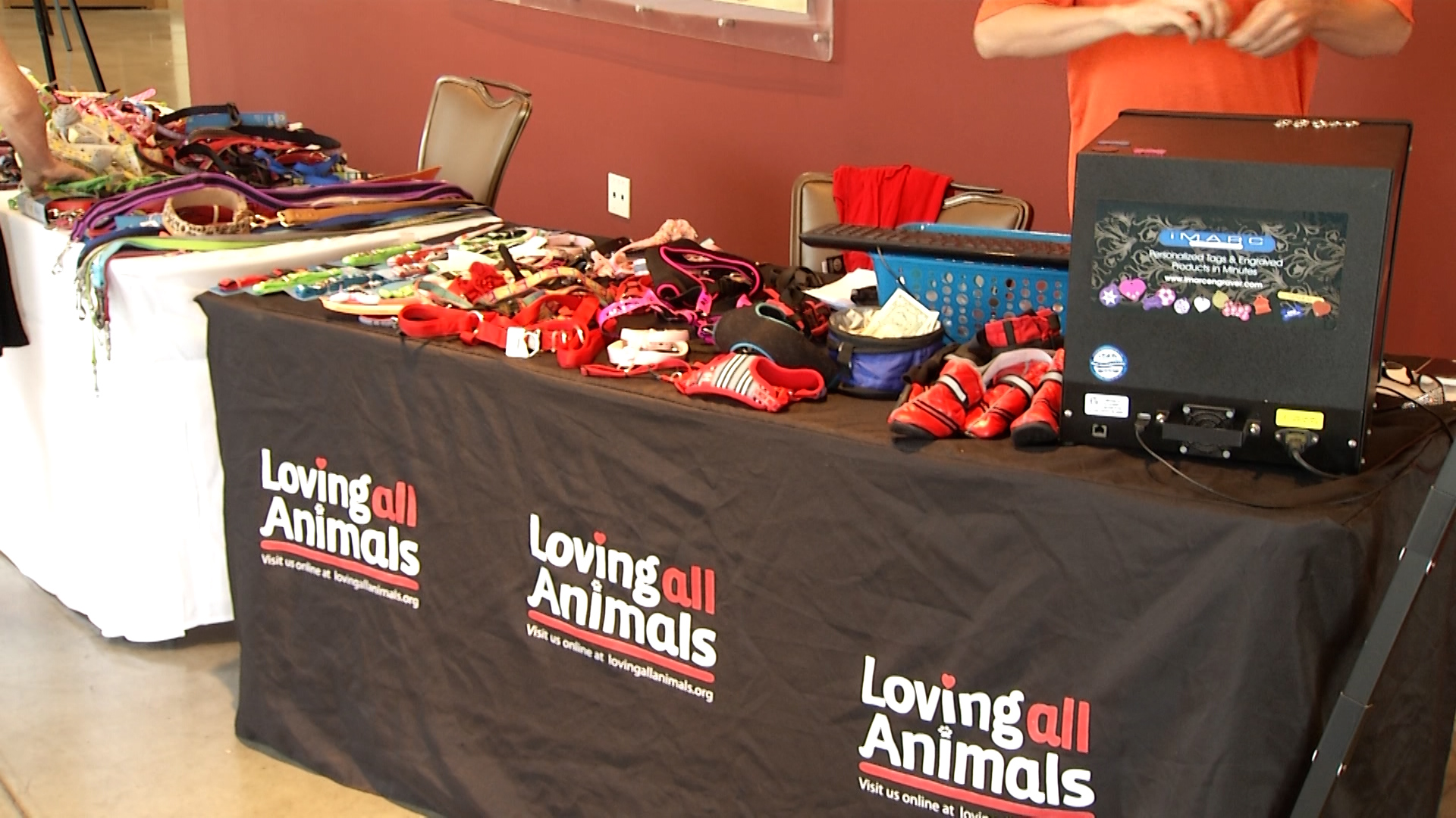 Free Pet Clinic Today at Fantasy Springs Offers Vaccines, Microchips, and More for Local Pet Owners