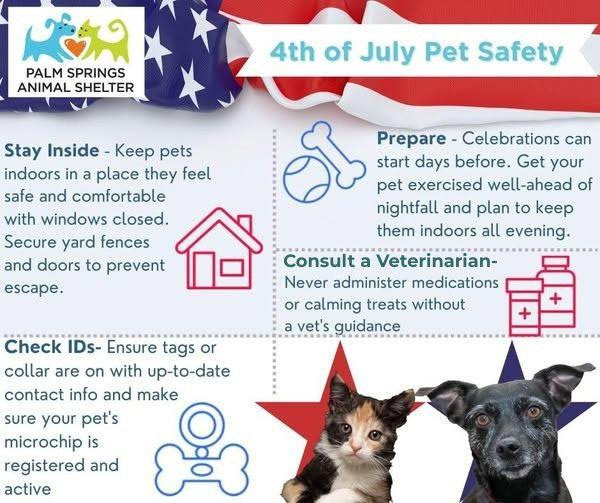 Local Animal Shelter Urges Pet Safety Precautions as Fourth of July Approaches