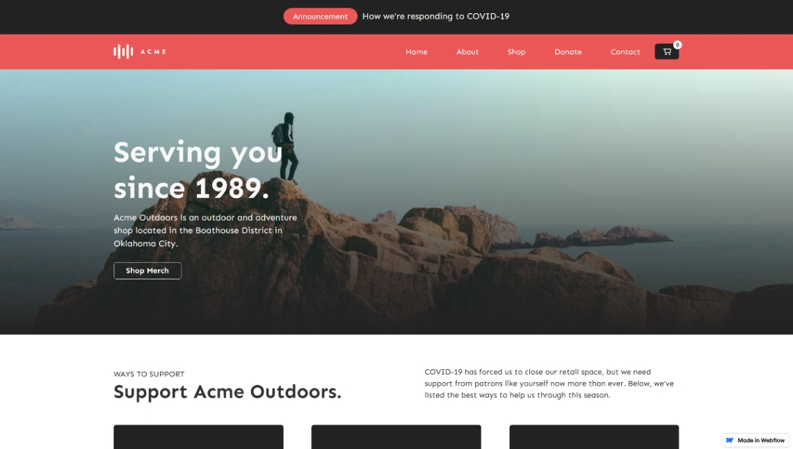 Wellness Website website template
