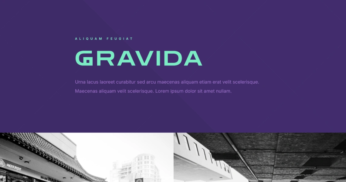 Modern Urban Architecture website template