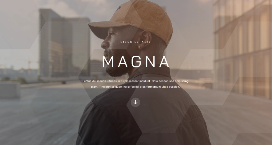 Lifestyle/Fashion Brand website template