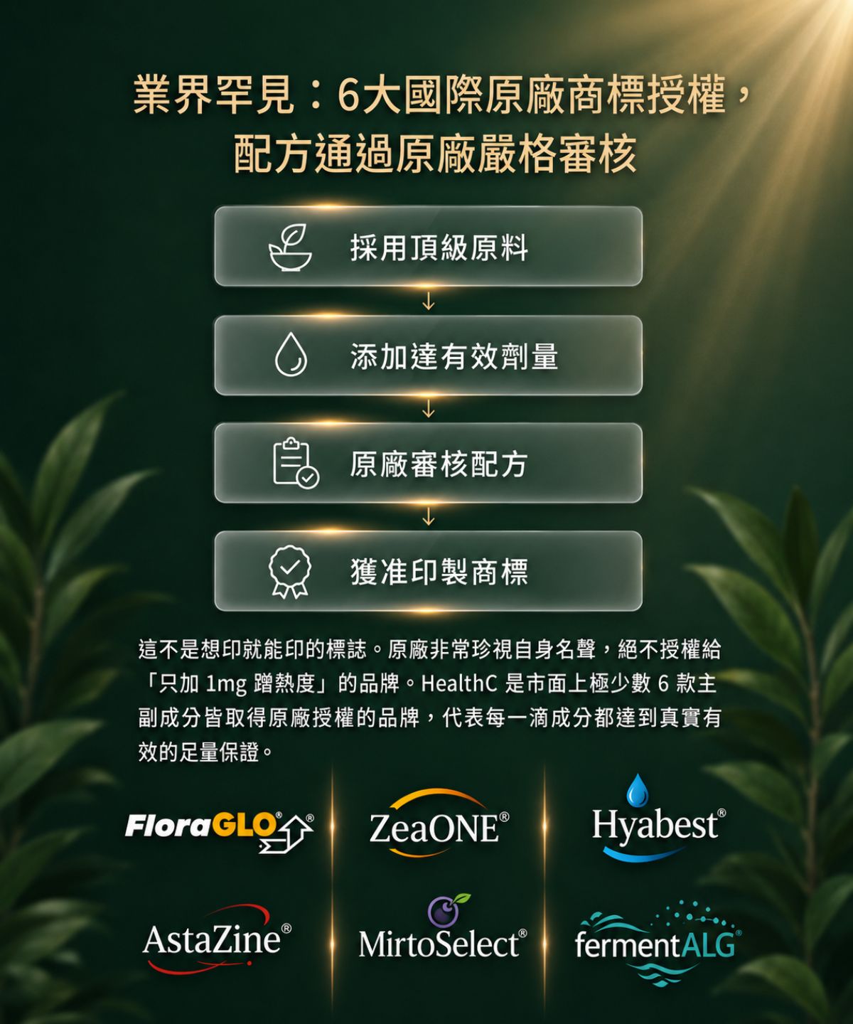 葉黃素藻油液態全能複合植物膠囊 2