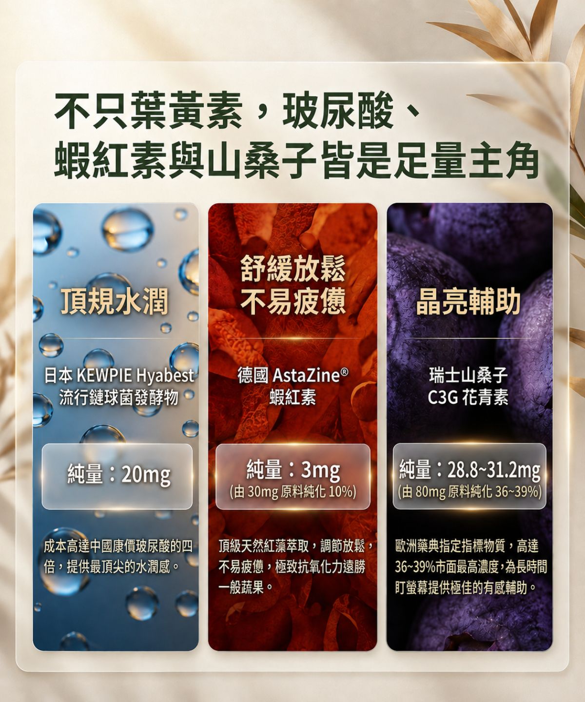 葉黃素藻油液態全能複合植物膠囊 4