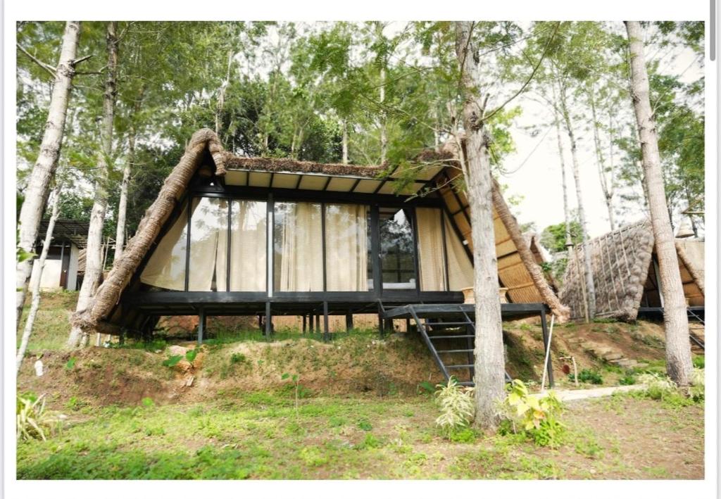 Special Offer – Lil Thatched Camp Stay (15% OFF + Jeep Ride for Groups!)