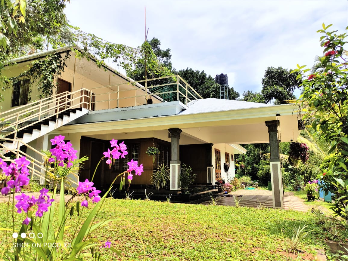 Special Offer - Discover Tranquility at East Stavenger Homestay