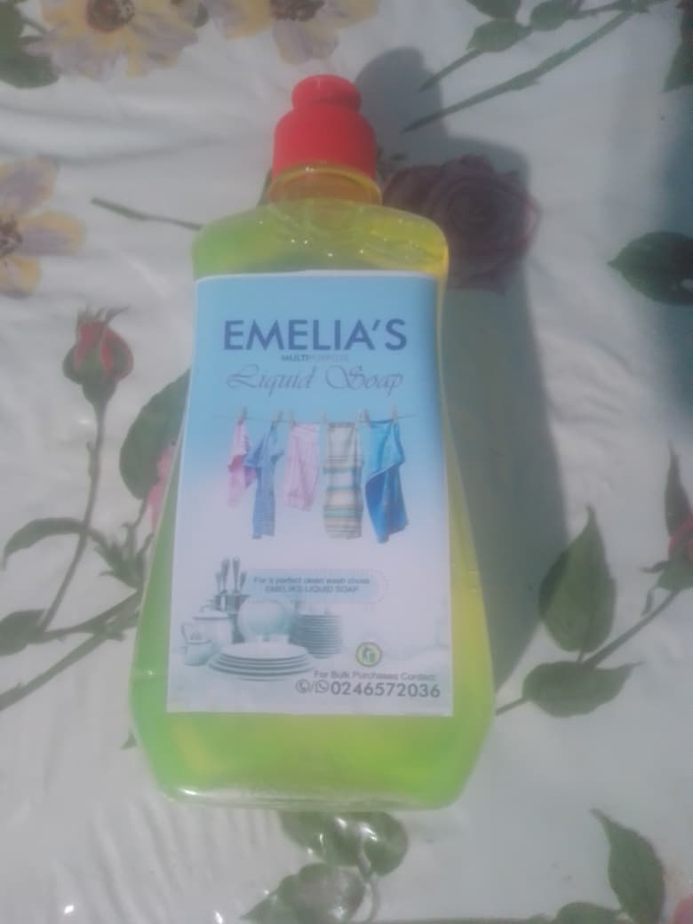 Emelia's Soap