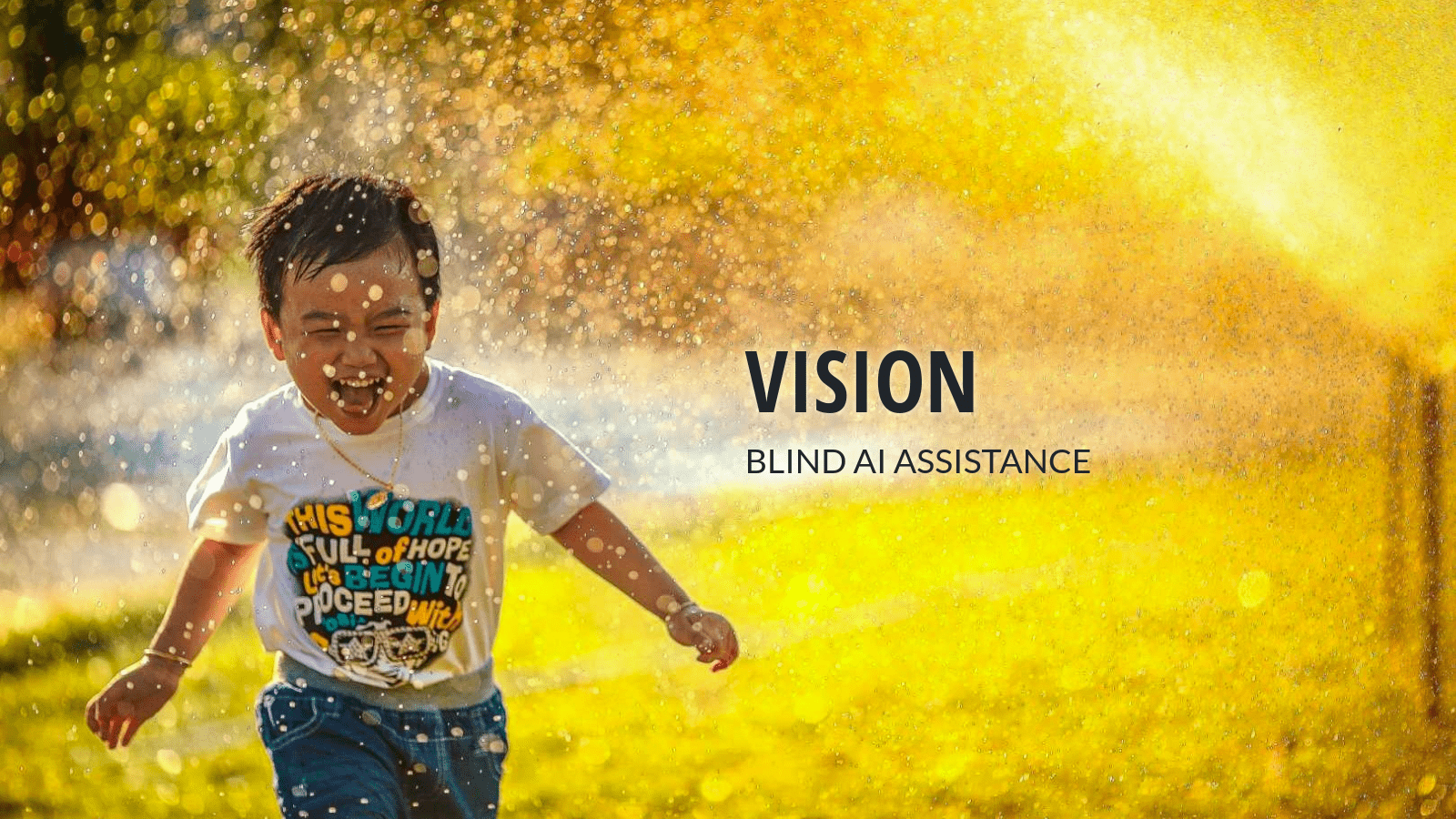 Blind Vision AI