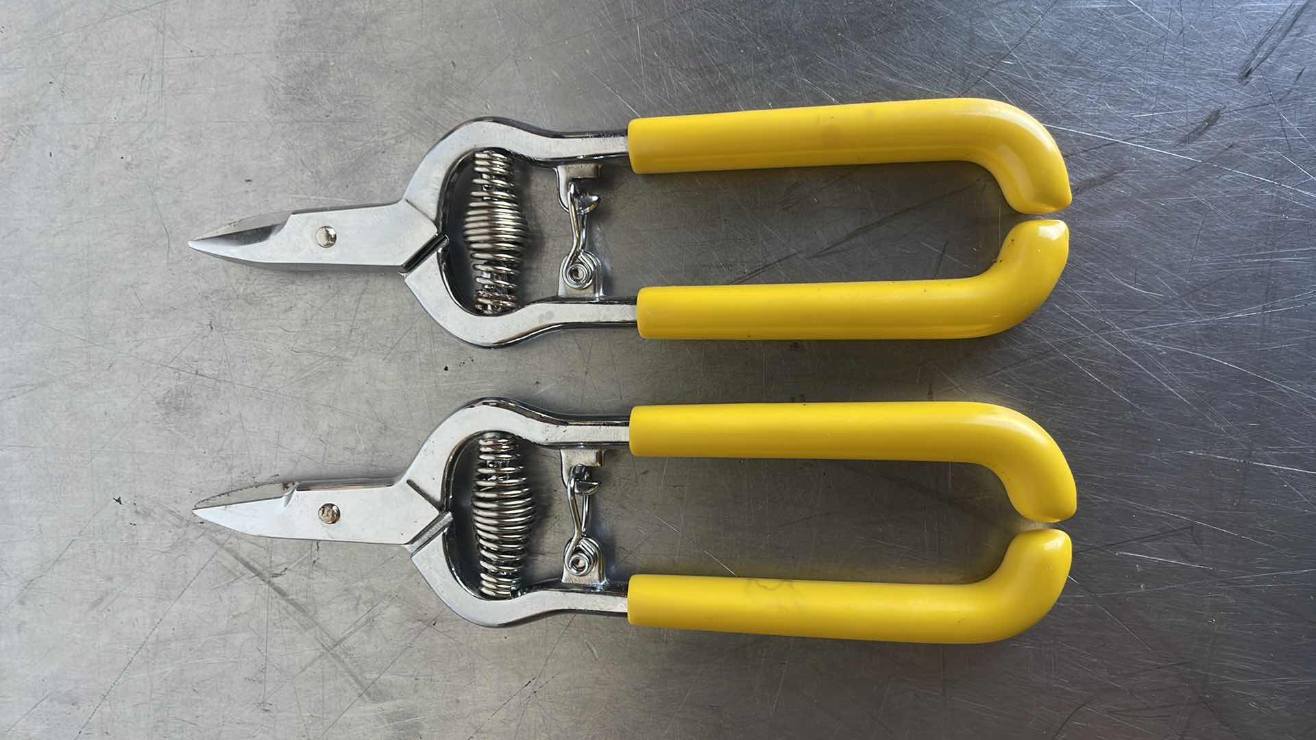 Photo 1 of RIPLEY MILLER CUSHIONED GRIP
KEVLAR SHEARS - 86 1/2 SF