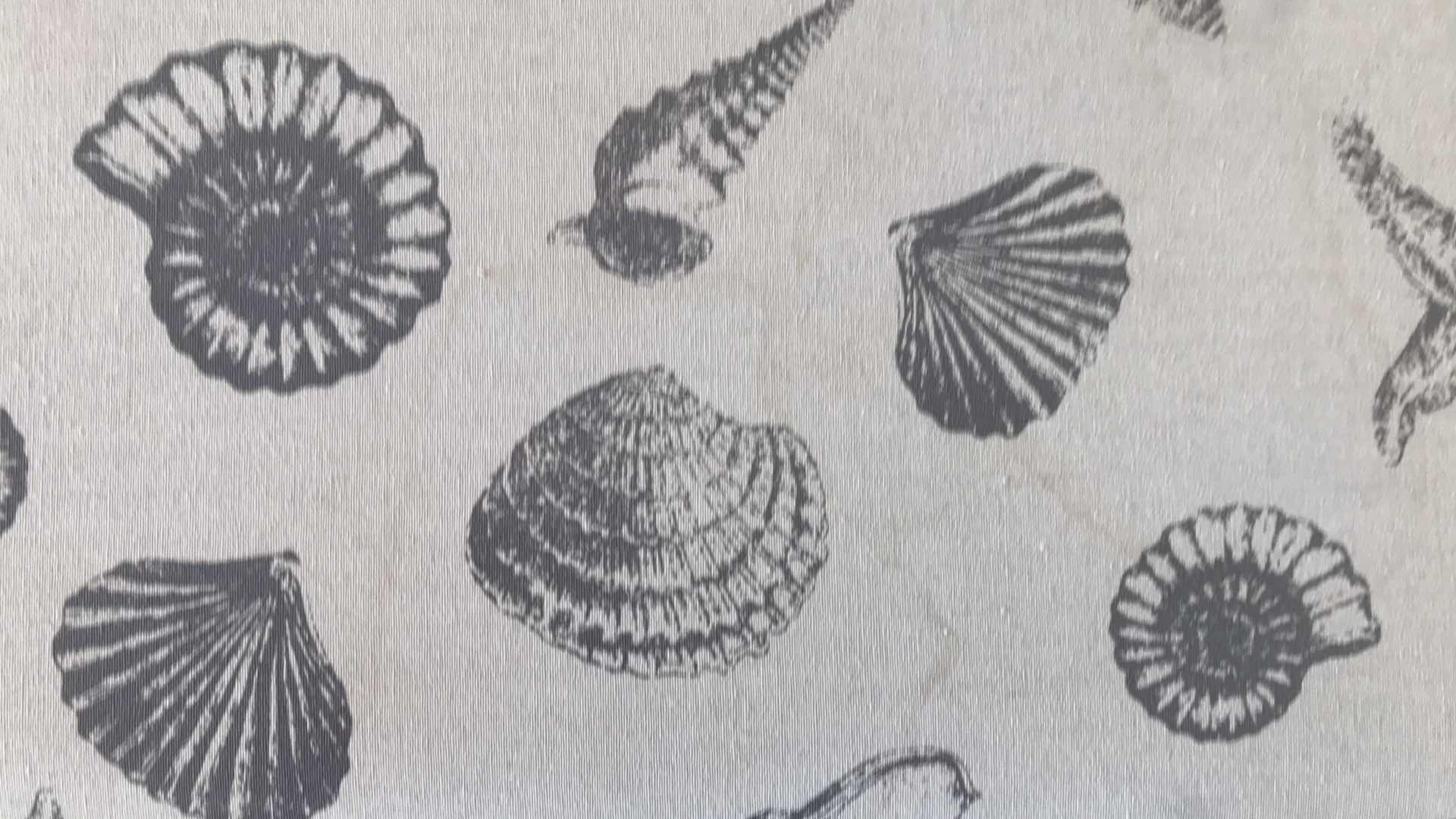 Photo 1 of SEA SHELL FABRIC OTTOMAN 36” X 19” H19”