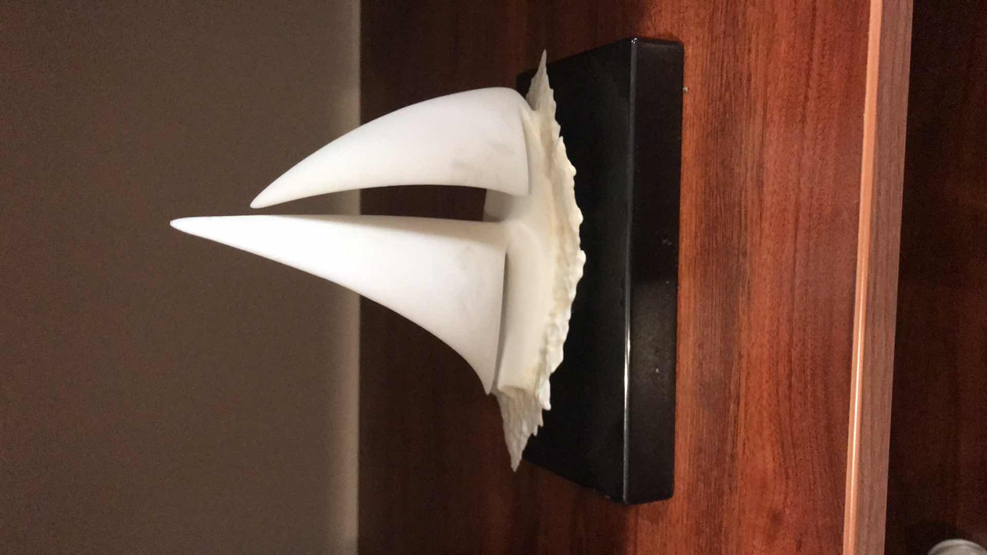 Photo 1 of JOHN PERRY SAILING