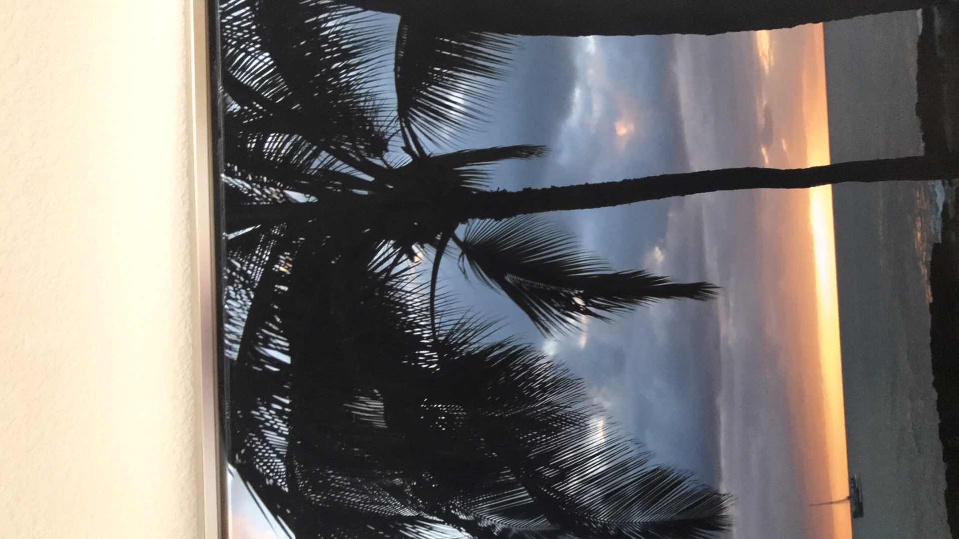 Photo 1 of SILHOUETTE OF PALMS FRAMED 30” X 40”