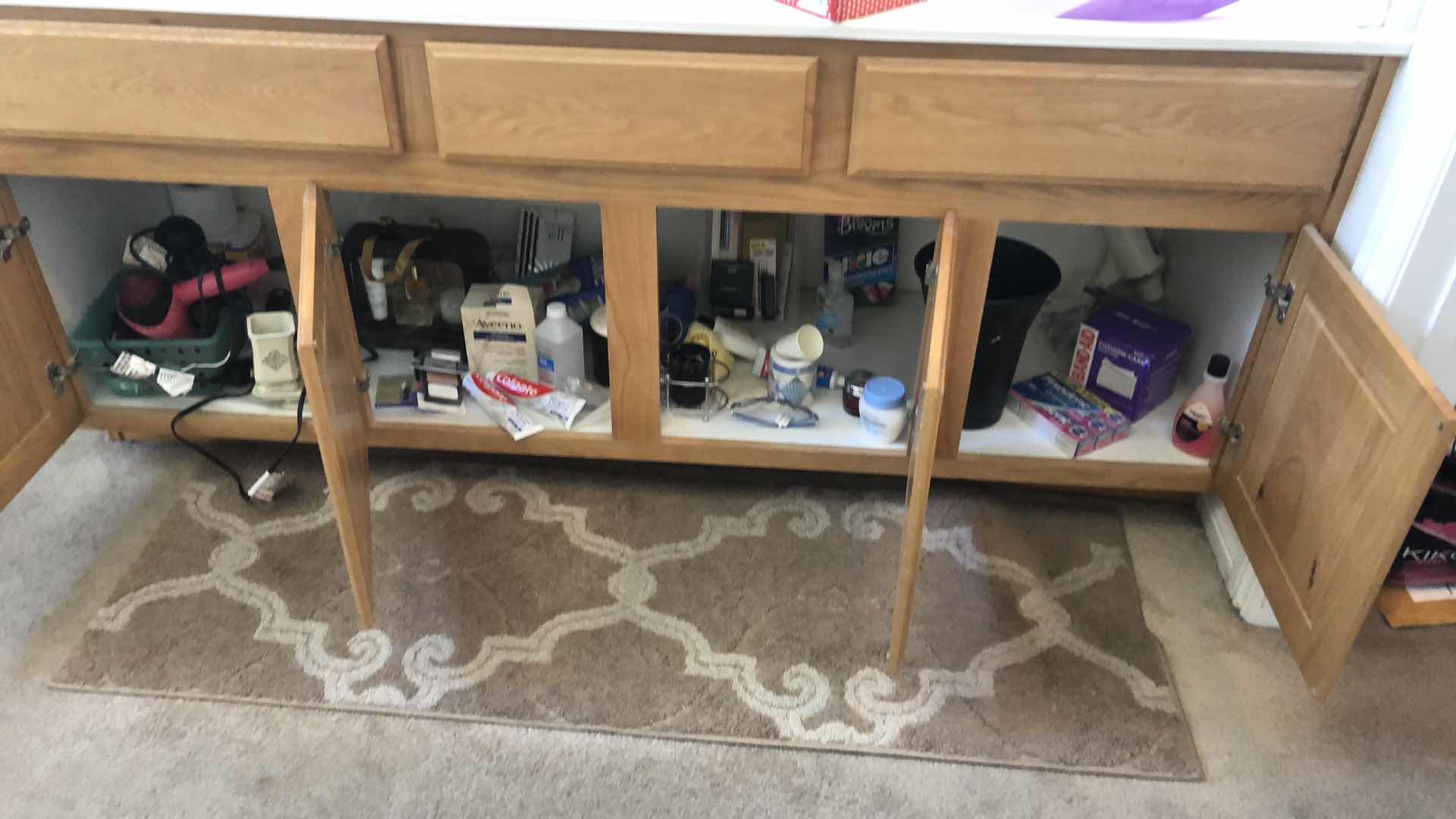 Photo 1 of CONTENTS UNDER BATHROOM SINK INCLUDING RUG, BLOW DRYERS, NEW MAKEUP, TOOTHPASTE AND MORE