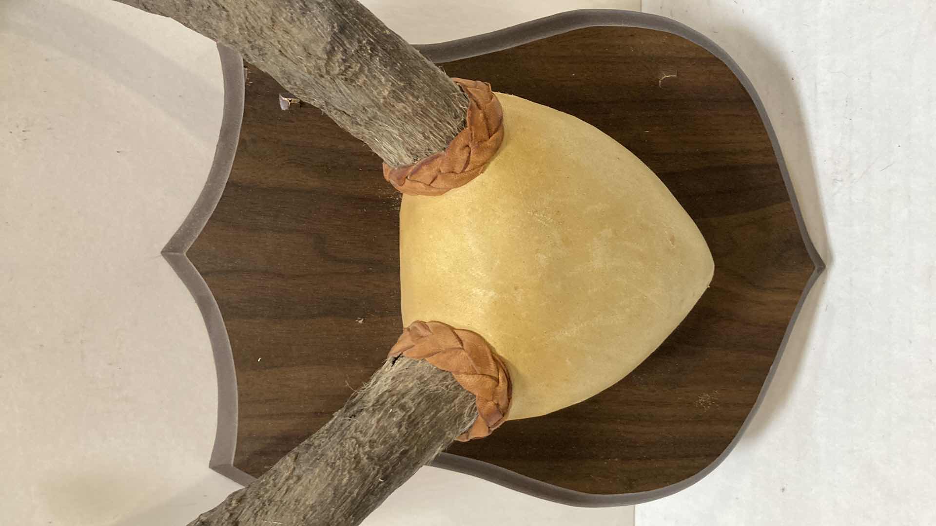 Photo 1 of PRONG HORN ANTELOPE ANTLERS ON WOOD MOUNT 12” X 6” H 15”