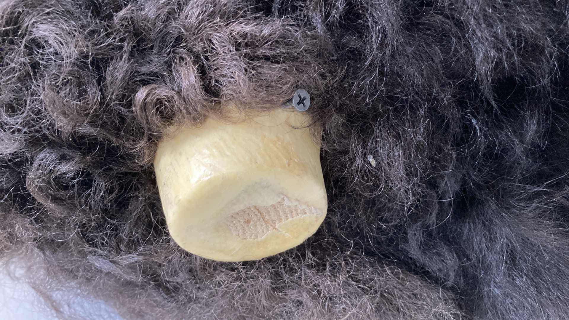 Photo 1 of BUFFALO (REATTACH-ABLE HORNS) 15” X 25” H 30”