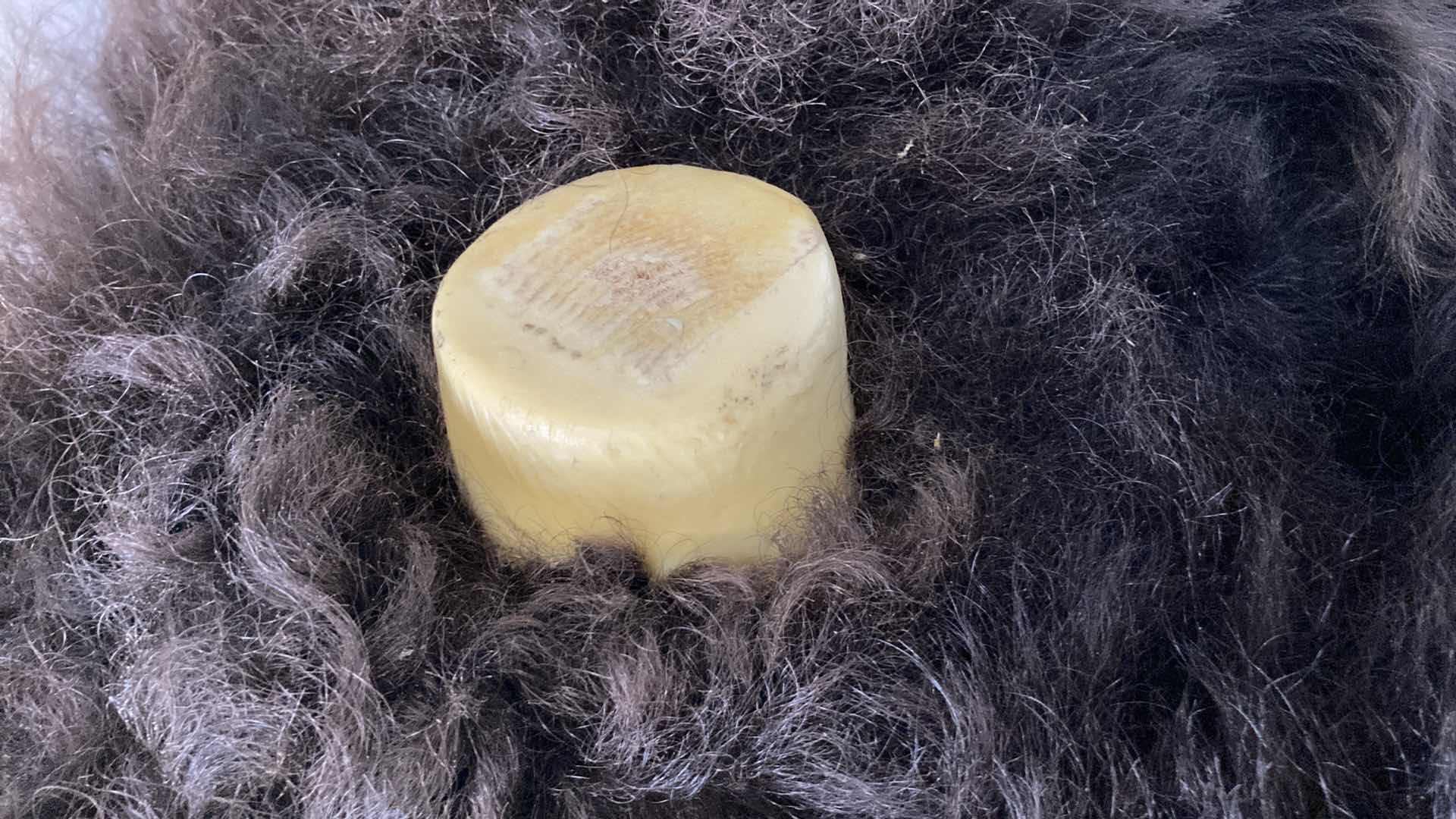 Photo 1 of BUFFALO (REATTACH-ABLE HORNS) 15” X 25” H 30”