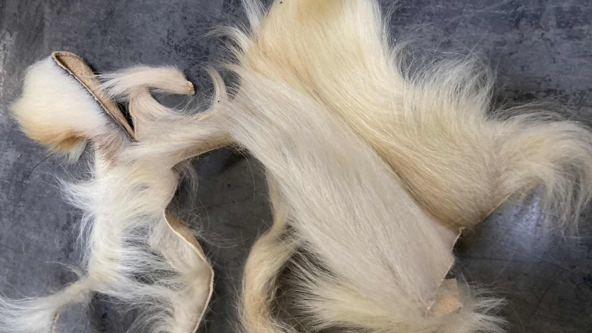 Photo 1 of POLAR BEAR PELT STRIPS 44”