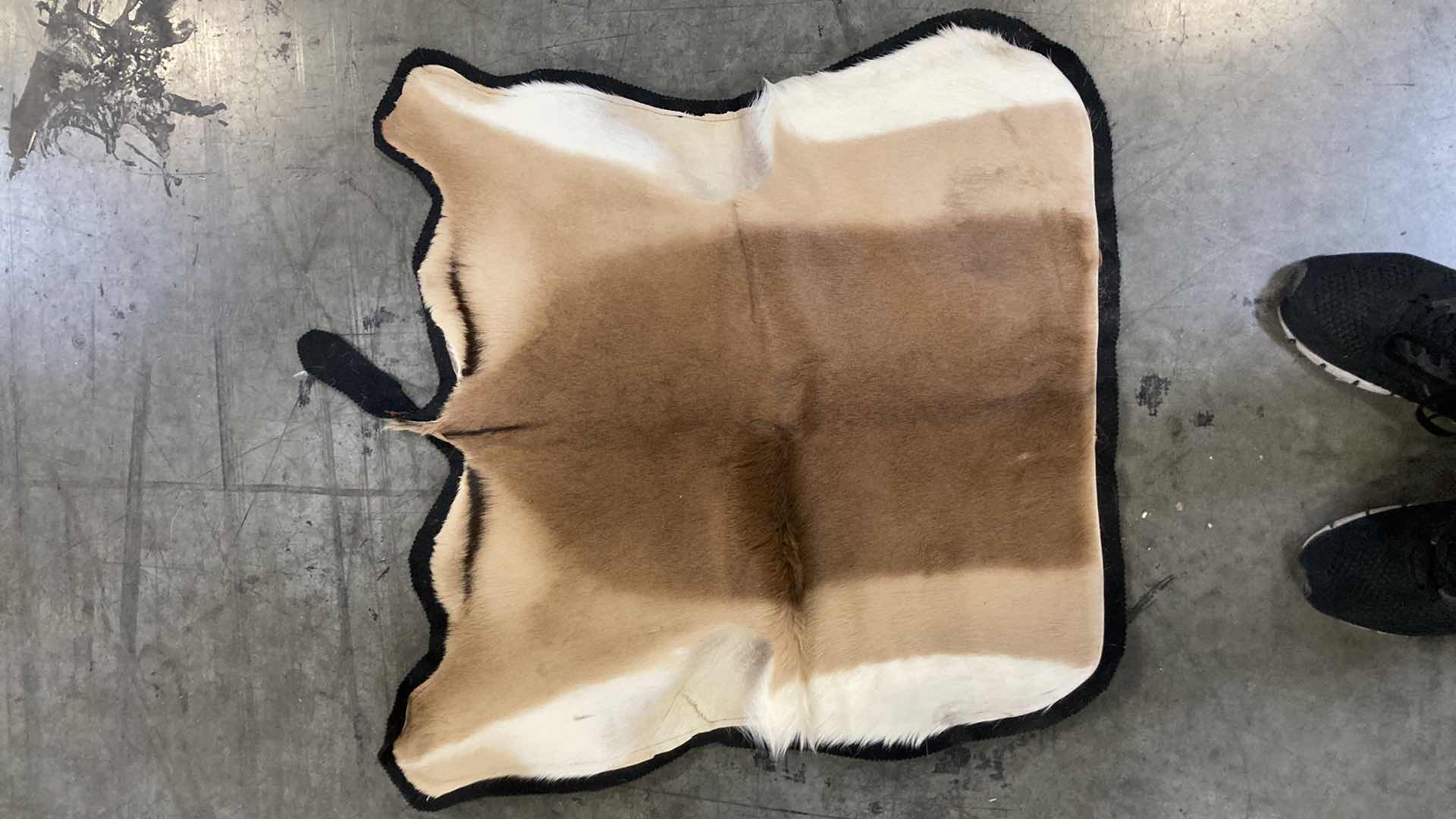 Photo 1 of COW PELTS (2) 36”